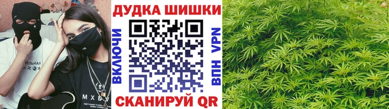 Купить закладку Волжск Псилоцибиновые грибы COCAIN