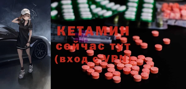 индика Тайга