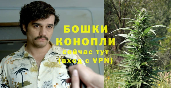 mdpv Белокуриха