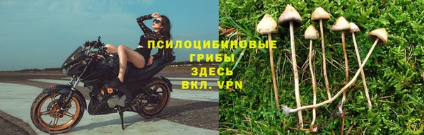mdpv Белокуриха