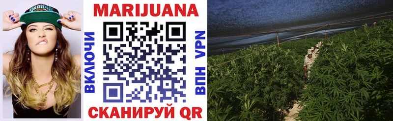 Бошки марихуана THC 21%  купить наркоту  Волжск 